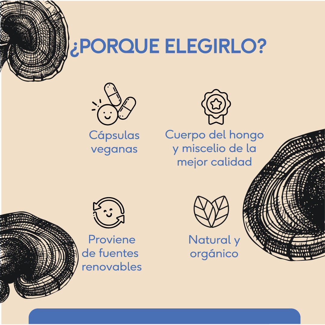 Reishi (60 cápsulas)