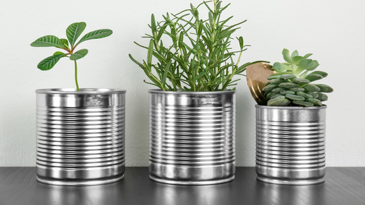 Ideas Creativas para Reutilizar tus Botes de Quenut