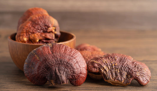 ¿Para qué sirve el hongo adaptógeno Reishi?
