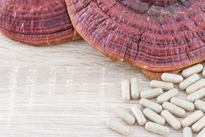 ¿Reishi brinda un equilibrio hormonal?