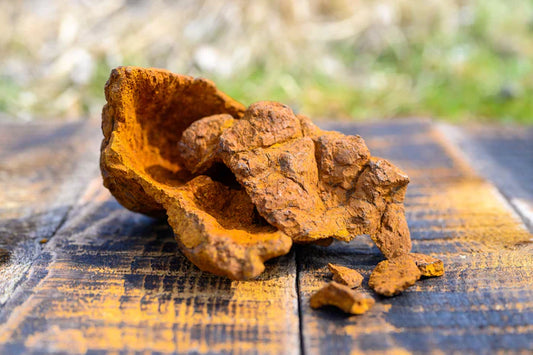 ¿Qué es Chaga y para qué sirve?