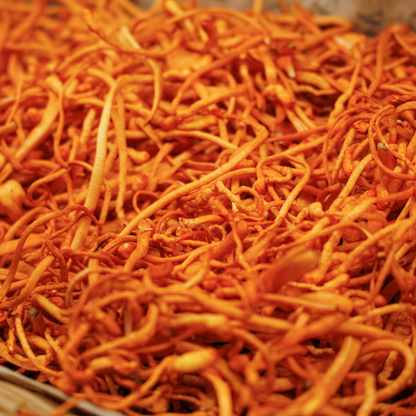 Cordyceps (60 cápsulas)