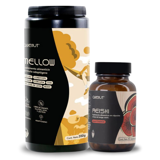 Mellow + Reishi