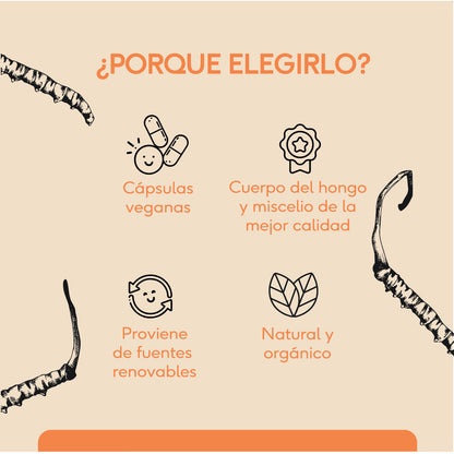 Cordyceps (60 cápsulas)